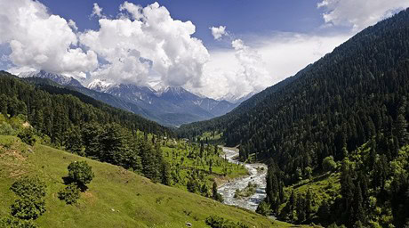 Grünes Bergtal mit Flusslauf zwischen bewaldeten Hängen, darüber hohe Wolken und schneebedeckte Gipfel im Hintergrund.