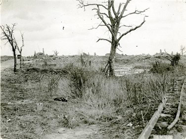 Schwarzweißfotografie einer zerstörten Landschaft mit kahlen Bäumen und zerfallenen Strukturen im Hintergrund, vermutlich nach einem Krieg oder Naturkatastrophe. Im Vordergrund sind überwucherte Schienen und zerbrochene Vegetation zu sehen, die Verfall und Verwüstung verdeutlichen.